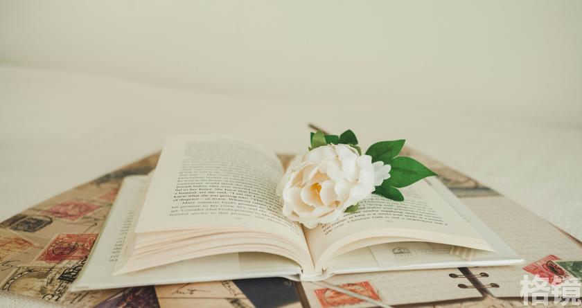 格镜视频转换文字,格镜视频提取音频,格镜视频提取文案,格镜视频提取软件,格镜视频替换